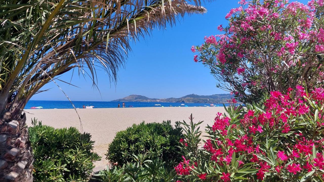 Sur La Plage, Super Studio Avec Vue Sur La Mer Plage dʼArgelès Esterno foto