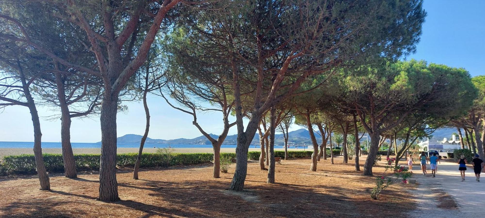 Sur La Plage, Super Studio Avec Vue Sur La Mer Plage dʼArgelès Esterno foto